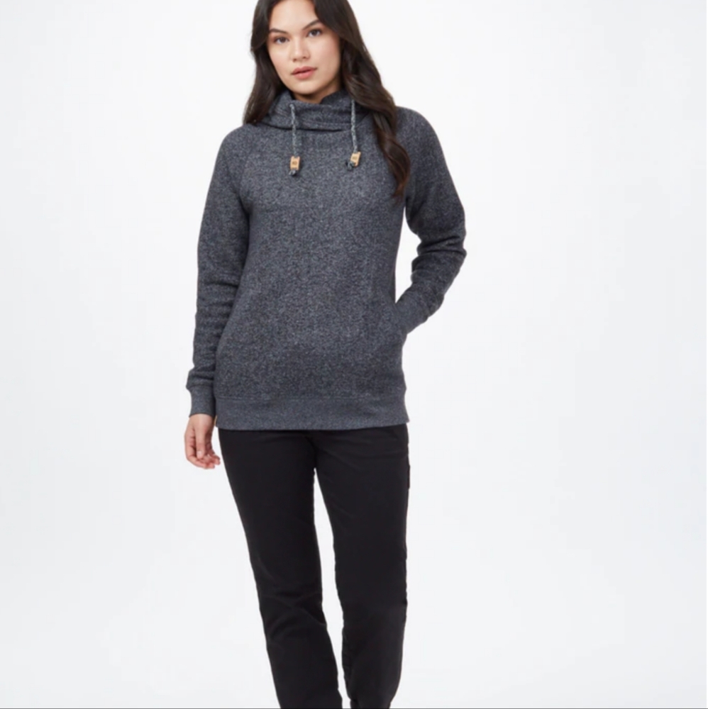 TenTree Burney hoodie, size L, in meteorite color